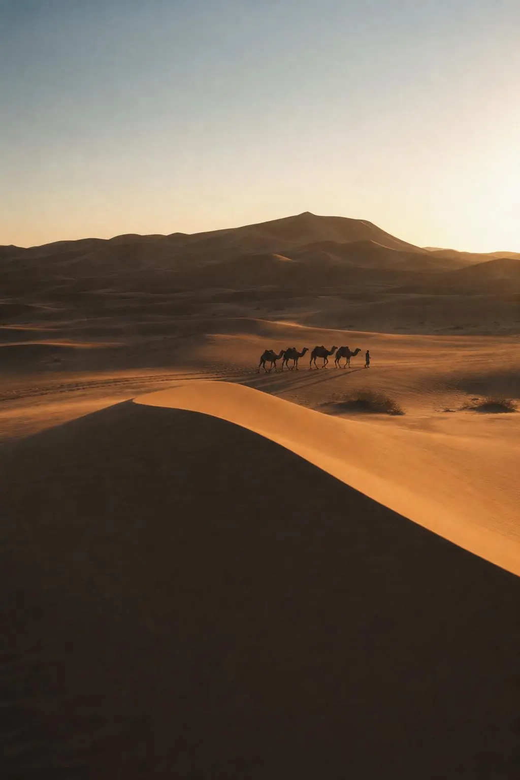 沙丘星營 Dune Star Camp